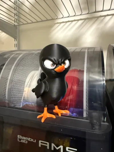 https://makerworld.bblmw.com/makerworld/model/1237929/1257961/ratings/b11c81b0-0c39-11f0-b146-8154699c691c.jpg
