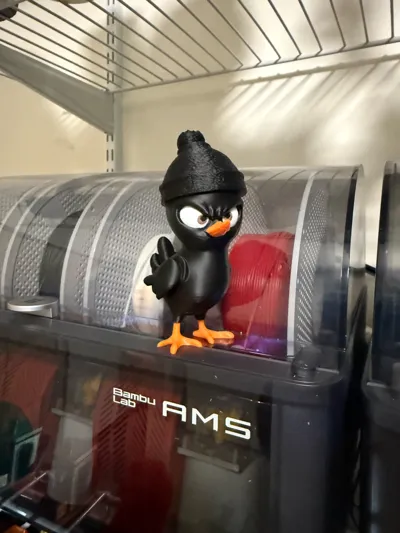 https://makerworld.bblmw.com/makerworld/model/1237929/1257961/ratings/b11e2f60-0c39-11f0-b146-8154699c691c.jpg