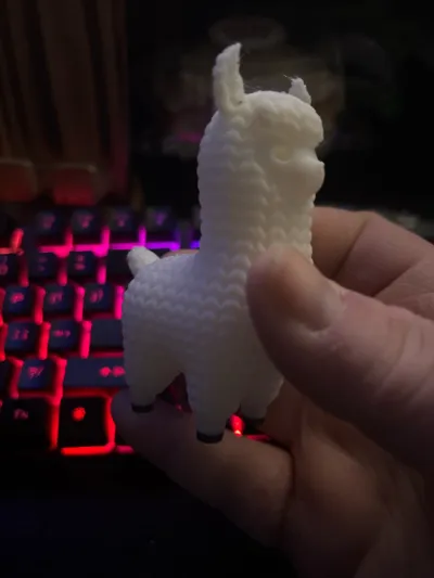 https://makerworld.bblmw.com/makerworld/model/1239794/1260062/ratings/ed92dd10-0bd5-11f0-b483-bdcd95dfbe7a.jpg