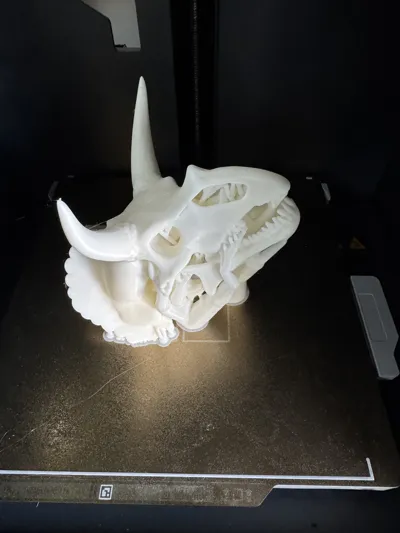 https://makerworld.bblmw.com/makerworld/model/1240333/1260699/ratings/88300790-0d4c-11f0-b726-8ff59310afc2.jpg
