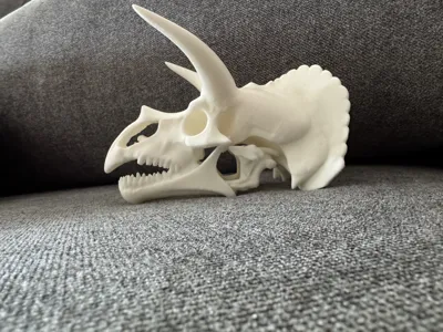 https://makerworld.bblmw.com/makerworld/model/1240333/1260699/ratings/883537b0-0d4c-11f0-b726-8ff59310afc2.jpg