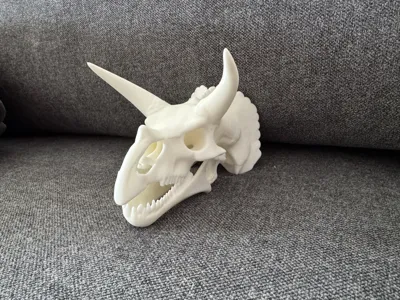 https://makerworld.bblmw.com/makerworld/model/1240333/1260699/ratings/8835ace0-0d4c-11f0-b726-8ff59310afc2.jpg