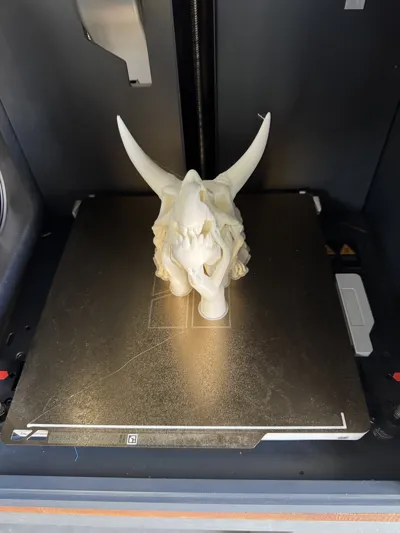 https://makerworld.bblmw.com/makerworld/model/1240333/1260699/ratings/883e5f70-0d4c-11f0-b726-8ff59310afc2.jpg