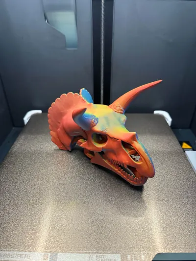 https://makerworld.bblmw.com/makerworld/model/1240333/1260699/ratings/e5606b70-154a-11f0-83a6-834b1739eae4.jpg