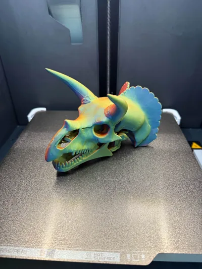 https://makerworld.bblmw.com/makerworld/model/1240333/1260699/ratings/e5648a20-154a-11f0-83a6-834b1739eae4.jpg