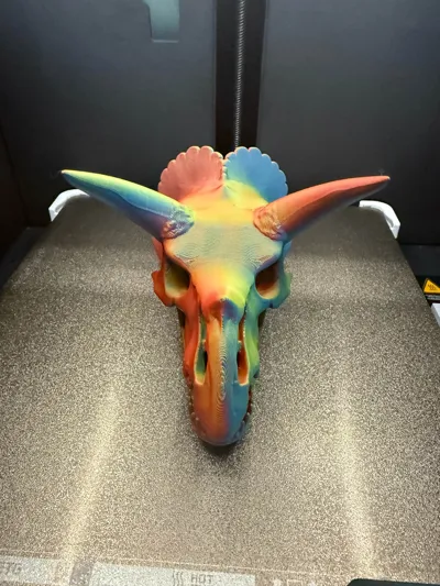 https://makerworld.bblmw.com/makerworld/model/1240333/1260699/ratings/e56f3880-154a-11f0-83a6-834b1739eae4.jpg