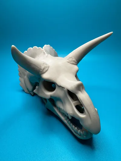 https://makerworld.bblmw.com/makerworld/model/1240333/1260699/ratings/e5a3e400-a83d-11f0-bbd2-e997f7b48288.jpg