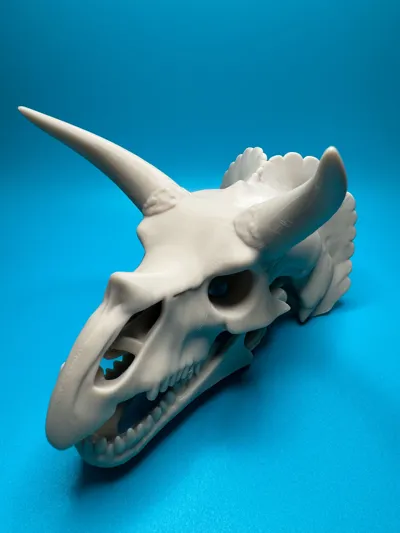 https://makerworld.bblmw.com/makerworld/model/1240333/1260699/ratings/e5a54390-a83d-11f0-bbd2-e997f7b48288.jpg