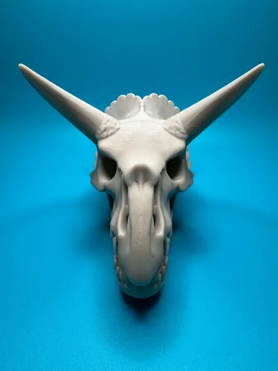 https://makerworld.bblmw.com/makerworld/model/1240333/1260699/ratings/e5a7b490-a83d-11f0-bbd2-e997f7b48288.jpg