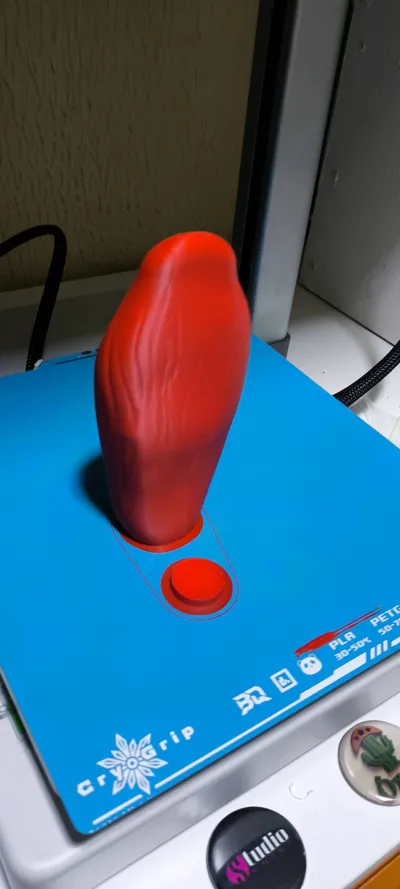 https://makerworld.bblmw.com/makerworld/model/1240356/1260712/ratings/594d52a0-fa51-11f0-8149-739d16a6088c.jpg