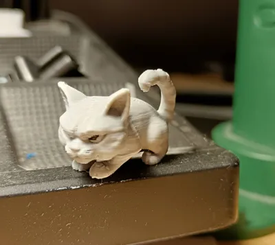 https://makerworld.bblmw.com/makerworld/model/1240533/1260926/ratings/00364900-8b44-11f0-bd69-6d5d0d330715.jpg