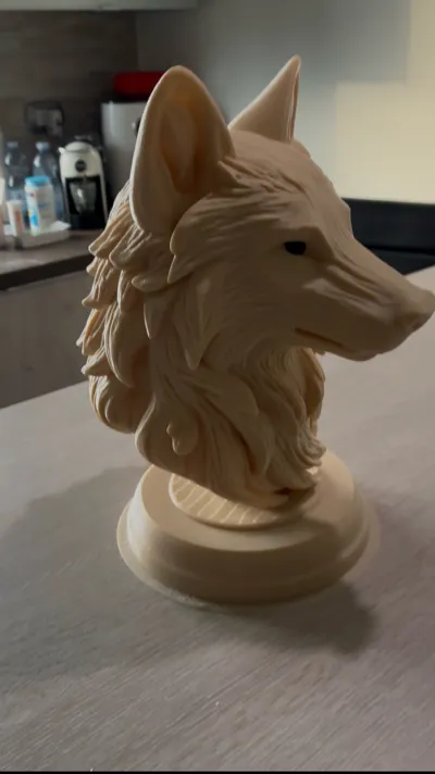 https://makerworld.bblmw.com/makerworld/model/1242704/1263525/ratings/40d528e0-f45e-11f0-8213-e92a28f2d649.jpg