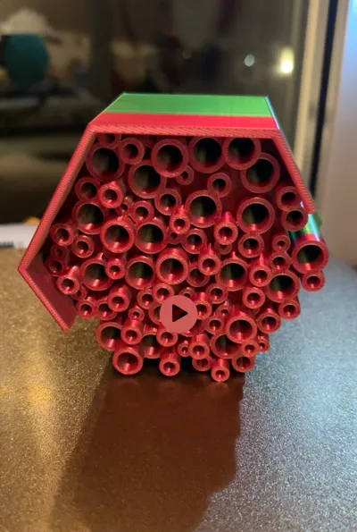 https://makerworld.bblmw.com/makerworld/model/1243384/1264296/ratings/38611c20-3148-11f0-8807-edc9b52d1c4a.jpg