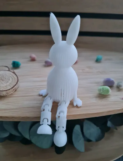 https://makerworld.bblmw.com/makerworld/model/1243648/1264602/ratings/3b418610-f7d5-11f0-8a32-3fa41a712059.jpg