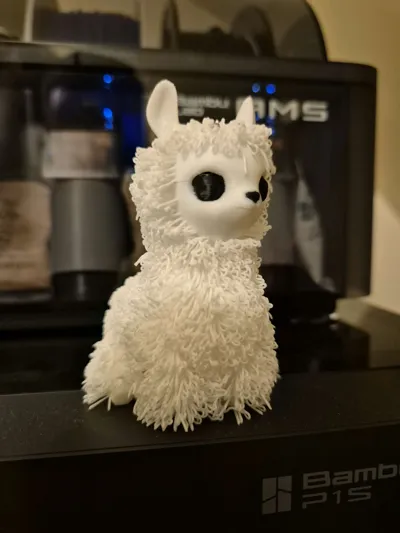 https://makerworld.bblmw.com/makerworld/model/1244455/1265588/ratings/8bb5ab50-0cdd-11f0-ab23-eb39c743d42e.jpg