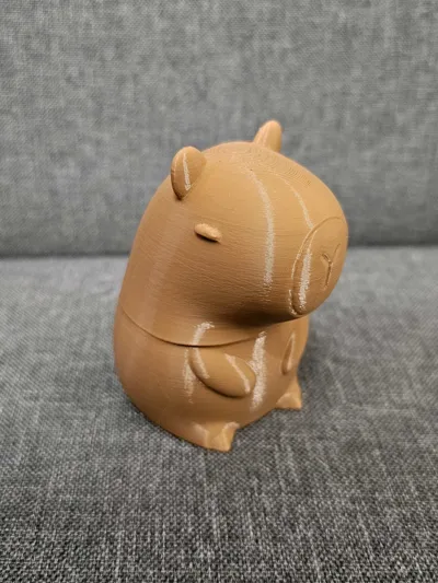 https://makerworld.bblmw.com/makerworld/model/1246201/1267729/ratings/5f56a2f0-36b1-11f0-ae10-93c4a405b6ff.jpg
