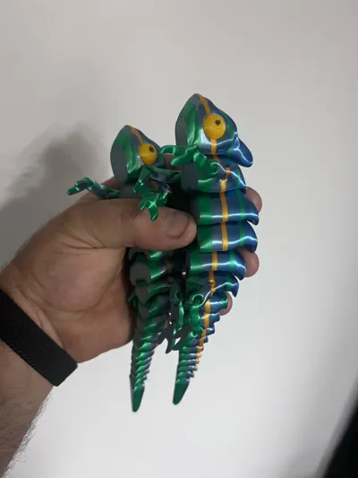 https://makerworld.bblmw.com/makerworld/model/1246343/1267891/ratings/06ed4460-b9d9-11f0-9454-f951e1b47c49.jpg