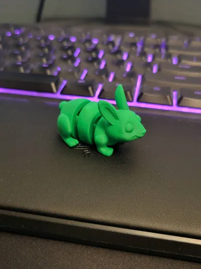 https://makerworld.bblmw.com/makerworld/model/1246762/1268421/ratings/ba03b6f0-0d91-11f0-b4cd-83193a4fe01f.jpg