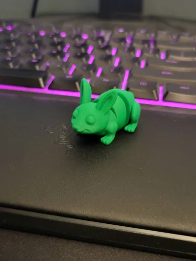 https://makerworld.bblmw.com/makerworld/model/1246762/1268421/ratings/ba0a1f90-0d91-11f0-b4cd-83193a4fe01f.jpg