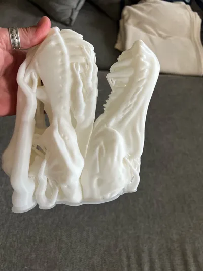 https://makerworld.bblmw.com/makerworld/model/1246821/1268491/ratings/3a97fdc0-83a4-11f0-ae5e-e56cd7ba79e3.jpg