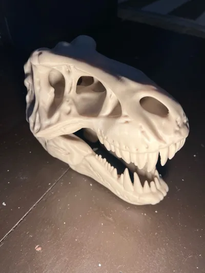 https://makerworld.bblmw.com/makerworld/model/1246821/1268491/ratings/5a211de0-fb84-11f0-b695-670ab27be7dd.jpg