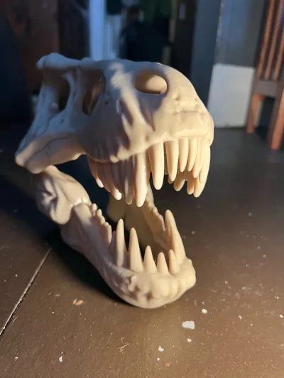 https://makerworld.bblmw.com/makerworld/model/1246821/1268491/ratings/5a242b20-fb84-11f0-b695-670ab27be7dd.jpg