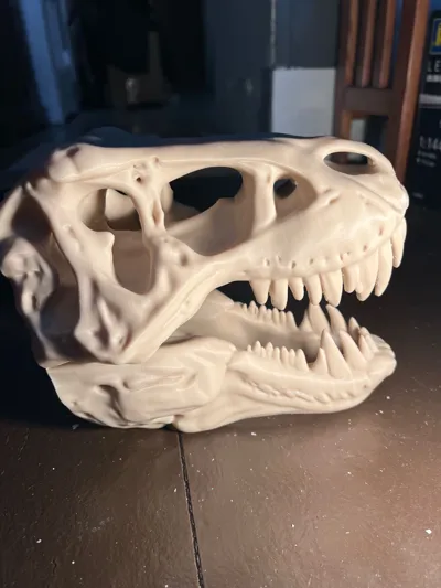 https://makerworld.bblmw.com/makerworld/model/1246821/1268491/ratings/5a264e00-fb84-11f0-b695-670ab27be7dd.jpg