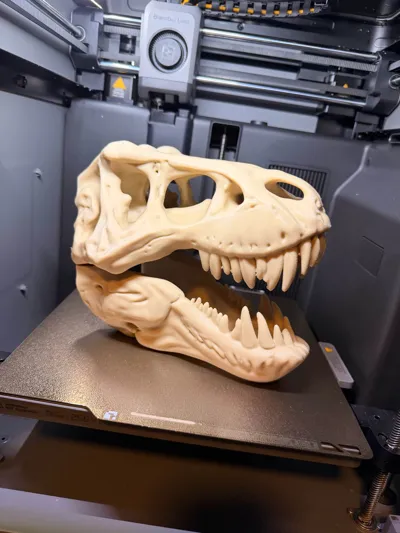 https://makerworld.bblmw.com/makerworld/model/1246821/1268491/ratings/b2341e40-d070-11f0-bc2d-a5212f85740f.jpg
