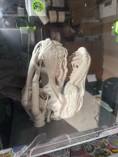 https://makerworld.bblmw.com/makerworld/model/1246821/1268491/ratings/d9ebc600-8bbe-11f0-b0fc-9f7ffa34cf16.jpg