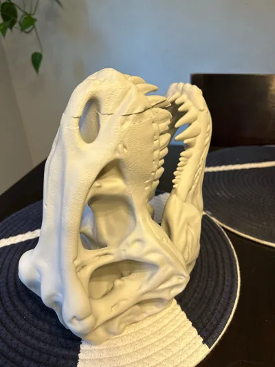 https://makerworld.bblmw.com/makerworld/model/1246821/1675496/ratings/143f4540-6818-11f0-b8c9-6f91ce00b2f4.jpg