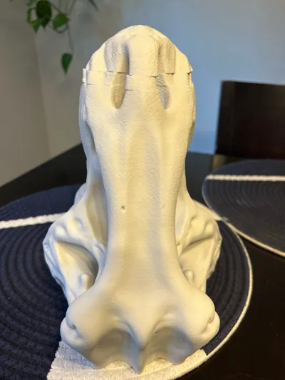 https://makerworld.bblmw.com/makerworld/model/1246821/1675496/ratings/1442c7b0-6818-11f0-b8c9-6f91ce00b2f4.jpg