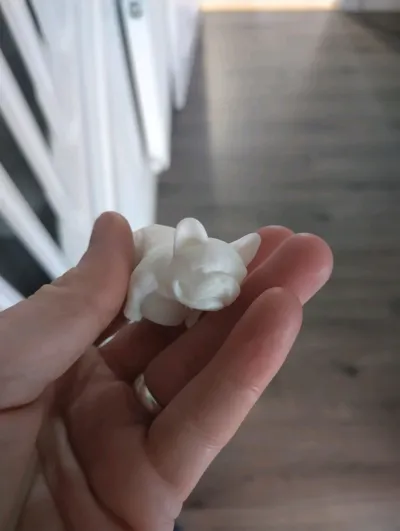 https://makerworld.bblmw.com/makerworld/model/1247397/1269186/ratings/5a34ad30-11e5-11f0-83dc-43a56d9dd785.jpg
