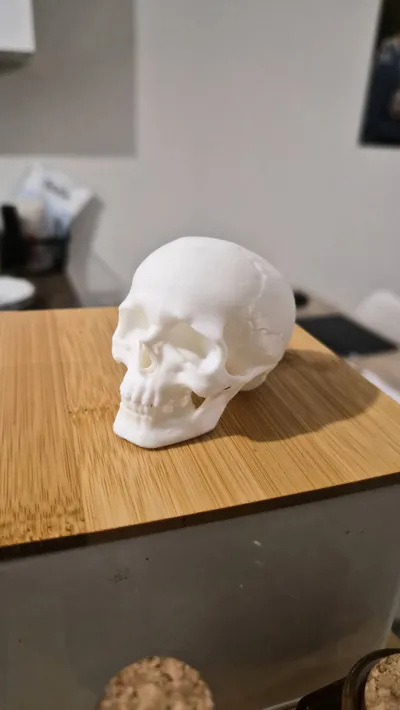 https://makerworld.bblmw.com/makerworld/model/1248096/1270078/ratings/05c45a10-9d64-11f0-930a-f3677d7954f9.jpg