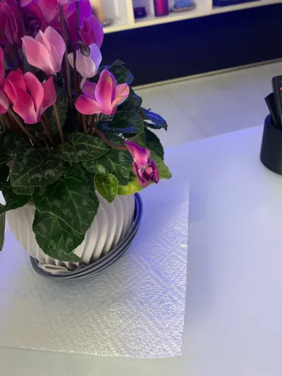 https://makerworld.bblmw.com/makerworld/model/1248469/1270517/ratings/e6b96430-8f3a-11f0-a4d7-b30b1263d5d5.jpg
