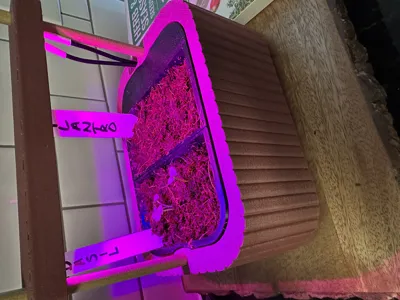 https://makerworld.bblmw.com/makerworld/model/1248756/1270845/ratings/2025-09-12_f1b739c55737b8.jpg