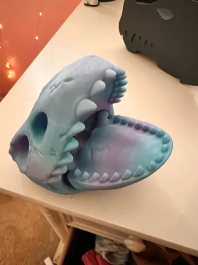 https://makerworld.bblmw.com/makerworld/model/1248879/1271004/ratings/eb2d2d10-3cbc-11f0-8710-677986d25630.jpg