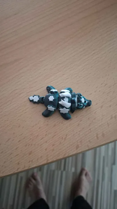 https://makerworld.bblmw.com/makerworld/model/1248983/1271128/ratings/09acaf00-746b-11f0-984e-bd41332754f4.jpg