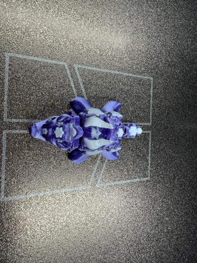 https://makerworld.bblmw.com/makerworld/model/1248983/1271128/ratings/a6edd8c0-11ba-11f0-9c7c-1b32768d12bf.jpg