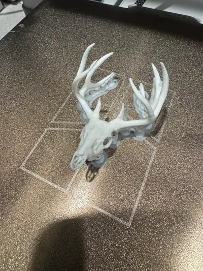 https://makerworld.bblmw.com/makerworld/model/1249551/1271817/ratings/6a62d0f0-e4e5-11f0-a142-876c3d5c638c.jpg