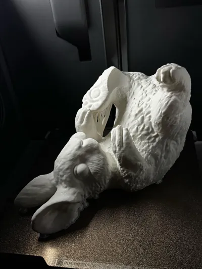 https://makerworld.bblmw.com/makerworld/model/1249779/1272067/ratings/51413b40-1946-11f0-b7e7-6dbbd6992c66.jpg