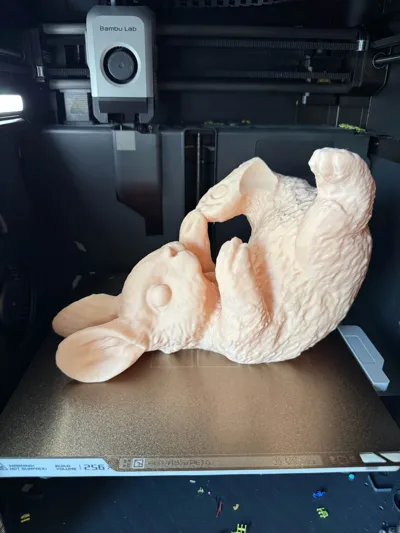 https://makerworld.bblmw.com/makerworld/model/1249779/1272067/ratings/b1ef8620-29a6-11f0-897d-d7142ab99671.jpg