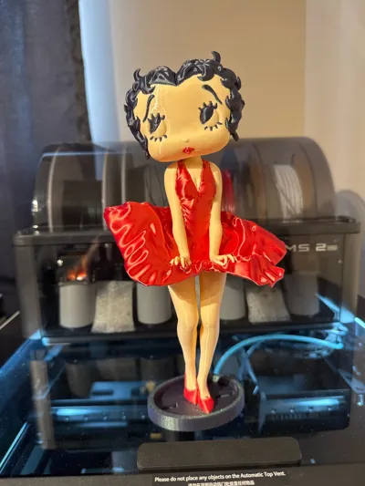 https://makerworld.bblmw.com/makerworld/model/1249964/1272262/ratings/cdd56ce0-fae0-11f0-beec-9177eb89abca.jpg