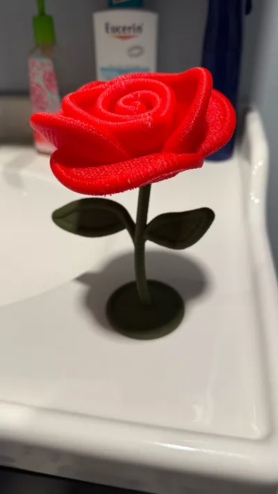 https://makerworld.bblmw.com/makerworld/model/1250299/1272889/ratings/ddb9a240-0f0c-11f0-938d-0fe8eb975e30.jpg
