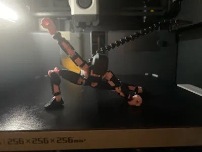 https://makerworld.bblmw.com/makerworld/model/1250522/1272955/ratings/a25702a0-c3df-11f0-b923-0379e14c63f0.jpg