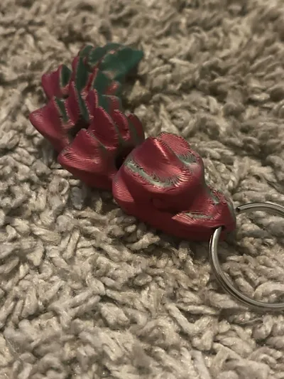 https://makerworld.bblmw.com/makerworld/model/125069/135073/ratings/79eea290-4730-11f0-bfb5-4fd06b795731.jpg