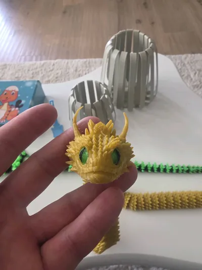 https://makerworld.bblmw.com/makerworld/model/1250741/1321538/ratings/fd65a6c0-907b-11f0-81bf-915068782456.jpg