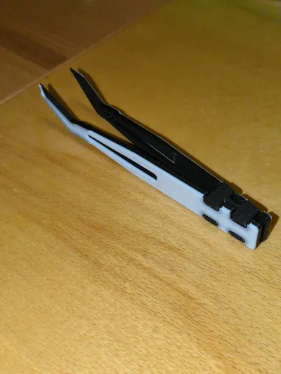 https://makerworld.bblmw.com/makerworld/model/1250908/2085387/ratings/f7366c30-c442-11f0-8213-1d9c74760a3b.jpg