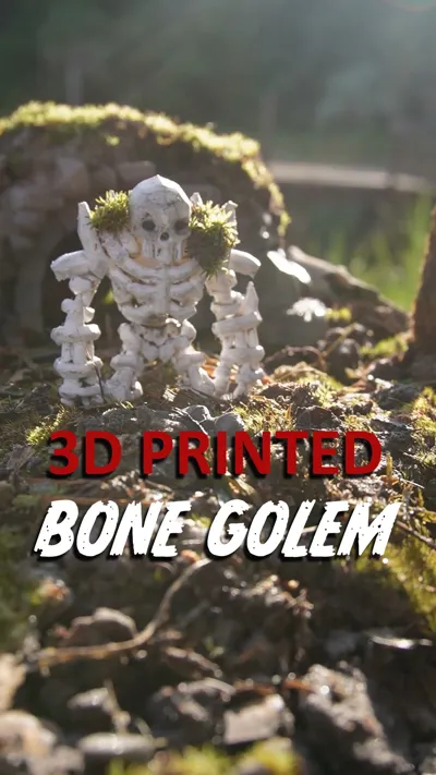 https://makerworld.bblmw.com/makerworld/model/1252536/1275267/ratings/6fe1e680-7332-11f0-9e50-717f74f7de6a.jpg