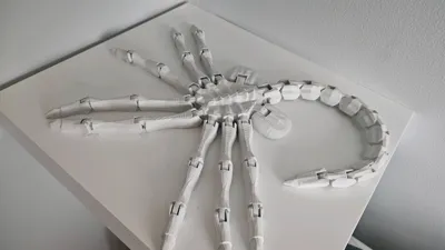 https://makerworld.bblmw.com/makerworld/model/125275/135302/ratings/fed21d70-bd7d-11f0-99a0-9da8a0a9ef2e.jpg