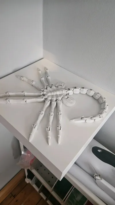 https://makerworld.bblmw.com/makerworld/model/125275/135302/ratings/fed5ee00-bd7d-11f0-99a0-9da8a0a9ef2e.jpg